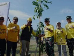 Revolusi Hijau, Sahbirin Noor Tanam Ratusan Pohon di Bandara Internasional Syamsudin Noor