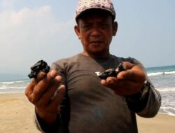 Kesal Limbah Minyak Cemari Pantai Wisata, Gubernur Arinal Djunaidi Bakal Lapor Jokowi
