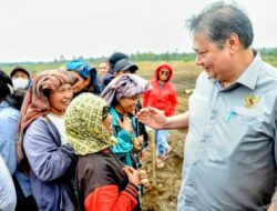 Airlangga Hartarto Dorong Pengembangan Food Estate Berbasis Korporasi