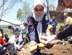 Indah Putri Indriani Harap Kecamatan Rongkong Jadi Sentra Penghasil Cabai di Lutra