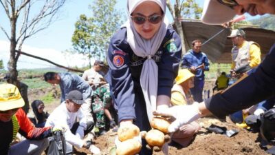 Indah Putri Indriani Harap Kecamatan Rongkong Jadi Sentra Penghasil Cabai di Lutra