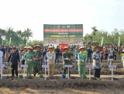 Rohidin Mersyah Berikan Bibit Kopi Untuk 500 Hektar Lahan Siap Tanam di Bengkulu