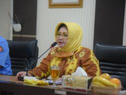 Mengenal Sosok Itje Siti Dewi Kuraesin, Legislator Partai Golkar DPR RI Asal Jawa Barat