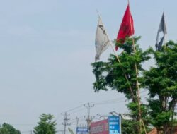 Bendera Golkar Berwarna Putih Marak Berkibar di Grobogan, Ada Apa?