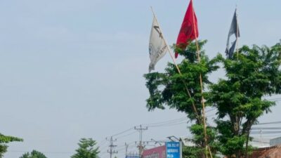 Bendera Golkar Berwarna Putih Marak Berkibar di Grobogan, Ada Apa?