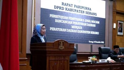 Terbitkan Perda SPBE, Ratu Tatu Chasanah Ingin Pemkab Serang Perkuat Layanan Berbasis Digital