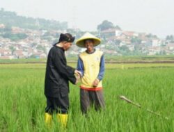 Sabil Rachman Soroti Maraknya Alih Fungsi Lahan Pertanian