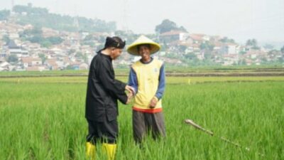 Sabil Rachman Soroti Maraknya Alih Fungsi Lahan Pertanian