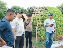 Melchias Mekeng Bangga Atas Capaian Anak Muda Sikka Kelola Inovasi Pertanian