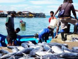 Fokus Arinal Djunaidi Benahi Sektor Kelautan dan Perikanan Sebagai Penggerak Ekonomi Lampung