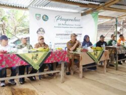 Cegah Kerusakan Alam, Rohidin Mersyah Ajak Masyarakat Bengkulu Rehabilitasi Hutan