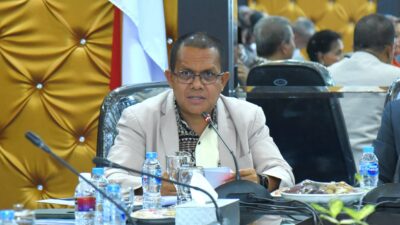 Melki Laka Lena Minta Pemerintah Beri Dukungan Optimal Pembangunan Kabupaten Bintan