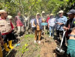 Peringati Hari Bumi, Indah Putri Indriani Pimpin Penanaman Pohon di Rangkong