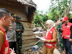 Kepemimpinan Indah Putri Indriani Berhasil Turunkan Tingkat Kemiskinan di Lutra