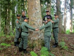 Gubernur Bengkulu, Rohidin Mersyah: Keberadaan Harimau Jadi Indikator Hutan Sehat