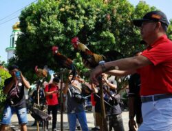 Upaya Gubernur Rohidin Mersyah Jaga Kelestarian Hutan dan Habitat Fauna Langka di Bengkulu