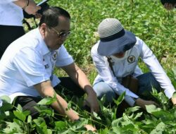 Momen Hari Tani Nasional, Firman Soebagyo Ajak Dukung Kerja Keras Petani Dengan Konsumsi Produk Pangan Lokal