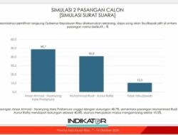 Lembaga Survei Nasional Unggulkan Ansar Ahmad, Elektabilitas Capai 48 Persen di Pilgub Kepri