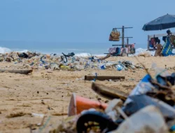 Firman Soebagyo Dorong Penetapan UU Kelautan Untuk Perkuat Upaya Pencegahan Pencemaran Laut RI