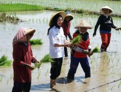 Walikota Kediri, Vinanda Prameswati Inisiasi Gerakan Tanam Padi Serentak Perkuat Ketahanan Pangan