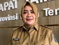 Sosok Hebat Indah Dhamayanti Putri, Pernah Jadi Bupati Perempuan Pertama di NTB Hingga Duduki Kursi Wakil Gubernur