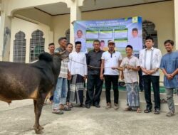 TM Nurlif Salurkan Hewan Kurban 5 Ekor Sapi Untuk Masyarakat Aceh