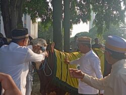 Bahlil Lahadalia Serahkan Sapi Kurban Jumbo 1,2 Ton ke Masjid Ainul Hikmah DPP Partai Golkar