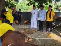 Dian Assafri: Panitia Kurban DPP Partai Golkar Terima 61 Sapi dan 4 Kambing di Idul Adha 1446 H