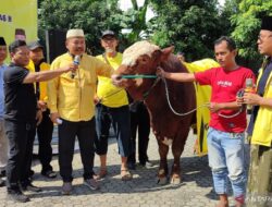 Ali Mufthi Gandeng Dinas Peternakan Jatim Pastikan Hewan Kurban Sehat