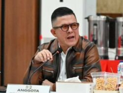 Soedeson Tandra Desak Hentikan Tambang Ilegal di Pulau Buru: Pulau Kita Tidak Ramah Terhadap Pertambangan!