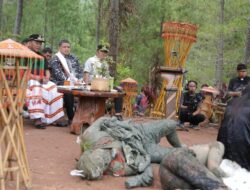 Walikota Makassar, Munafri Arifuddin Hadiri Festival Hutan Toraja: Persaudaraan Kita Lebih Kuat Dari Perbedaan