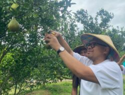 Dongkrak PAD Batang, Bupati Faiz Kurniawan Usulkan Agroeduwisata Clapar Jadi BUMD