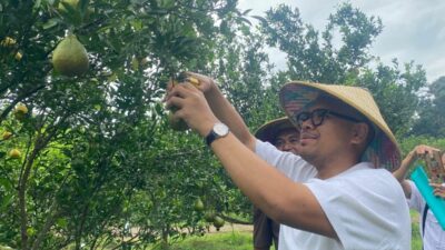Dongkrak PAD Batang, Bupati Faiz Kurniawan Usulkan Agroeduwisata Clapar Jadi BUMD