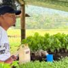 Partai Golkar Manggarai Dukung Program MBG Melalui Pendampingan Kelompok Tani