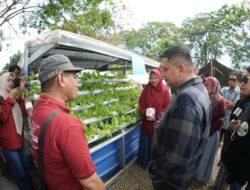 Walikota Makassar, Munafri Arifuddin Jadikan 6 Ribu RT Ujung Tombak Program Urban Farming