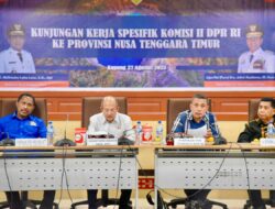 Andar Amin Harahap Dorong Penguatan BUMD NTT untuk Kemandirian Fiskal Daerah
