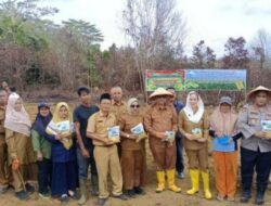 Bupati Cen Sui Lan Dorong Penanaman Jagung Pipil Perkuat Ketahanan Pangan Natuna