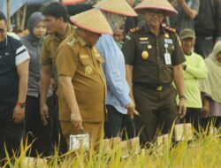 Bulog Setop Serap Gabah, Gubernur Hidayat Arsani: Jangan Rugikan Petani Babel!