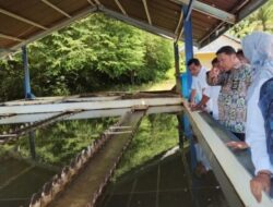 Air Bersih untuk Warga Langsa, Ilham Pangestu Kawal Perbaikan IPA Tirta Keumuneng