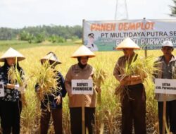 Bupati Purworejo Yuli Hastuti Dorong Petani Terapkan Teknologi Modern untuk Tingkatkan Hasil Panen