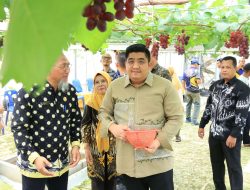 Bupati Bintan Roby Kurniawan Puji Panen Anggur Screenhouse Tembeling, Jadi Wisata Edukatif Baru