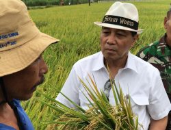 Teknologi Digital Buka Peluang Agribisnis, Firman Soebagyo: Kalau Bisa Bikin Konten Viral, Kenapa Tidak Bikin Produk Tani Viral?