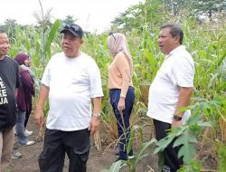 Momentum HUT Babel, Gubernur Hidayat Arsani Perkuat Semangat Gotong Royong Bersama Masyarakat