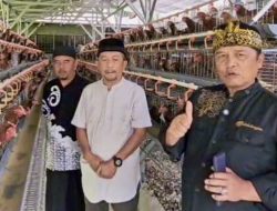 Dadang M. Naser Salurkan 12.000 Ayam Petelur untuk Perkuat Ketahanan Pangan di Bandung Raya