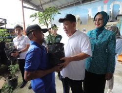 Program Gencar 2026, Gubernur Babel Hidayat Arsani Bagikan 150 Ribu Bibit Cabai