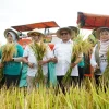 Firman Soebagyo Apresiasi Keberhasilan Kabupaten Pati Tingkatkan Produksi Padi