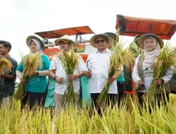 Firman Soebagyo Apresiasi Keberhasilan Kabupaten Pati Tingkatkan Produksi Padi