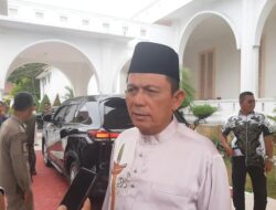 Gubernur Ansar Ahmad Bangun 19 Dermaga Apung, Konektivitas Kepri Makin Kuat