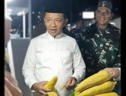 Dari Menteri ke Rakyat Biasa! Menteri ESDM Bahlil Lahadalia Borong Jagung Warga, Nostalgia di Fakfak