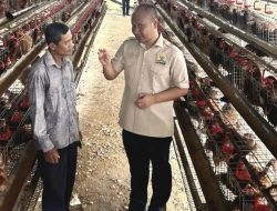 Eko Wahyudi Warning! Ancaman Global dan Iklim Bisa Guncang Stok Pangan Nasional